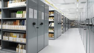 Какую организационную структуру компании выбрать