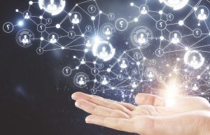 Организационная структура компании