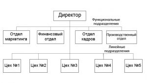 пример линейно-функциональной структуры управления