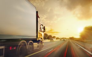 Организационная структура транспортной компании