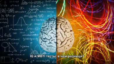 Какие тесты применять для проверки потенциальных сотрудников: от MBTI до IQ